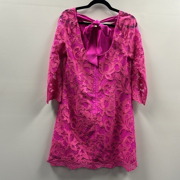Lilly Pulitzer Pink Lace Dress - Picture 6 of 14